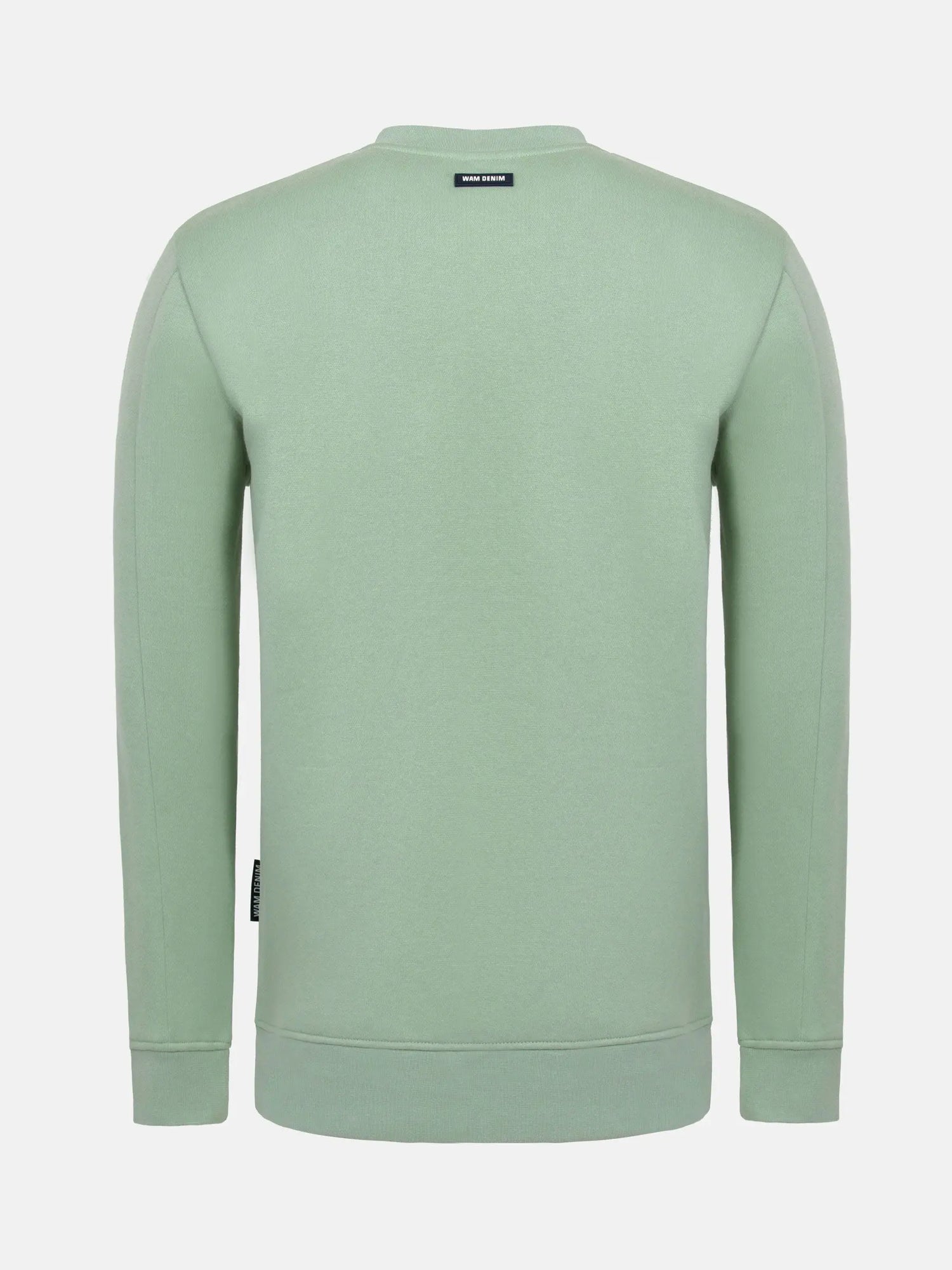 Ahmir Light Green Crew Neck Sweater 6XL