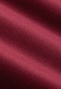 Relaxed Slim Fit Monarch Dark Red Blazer 62