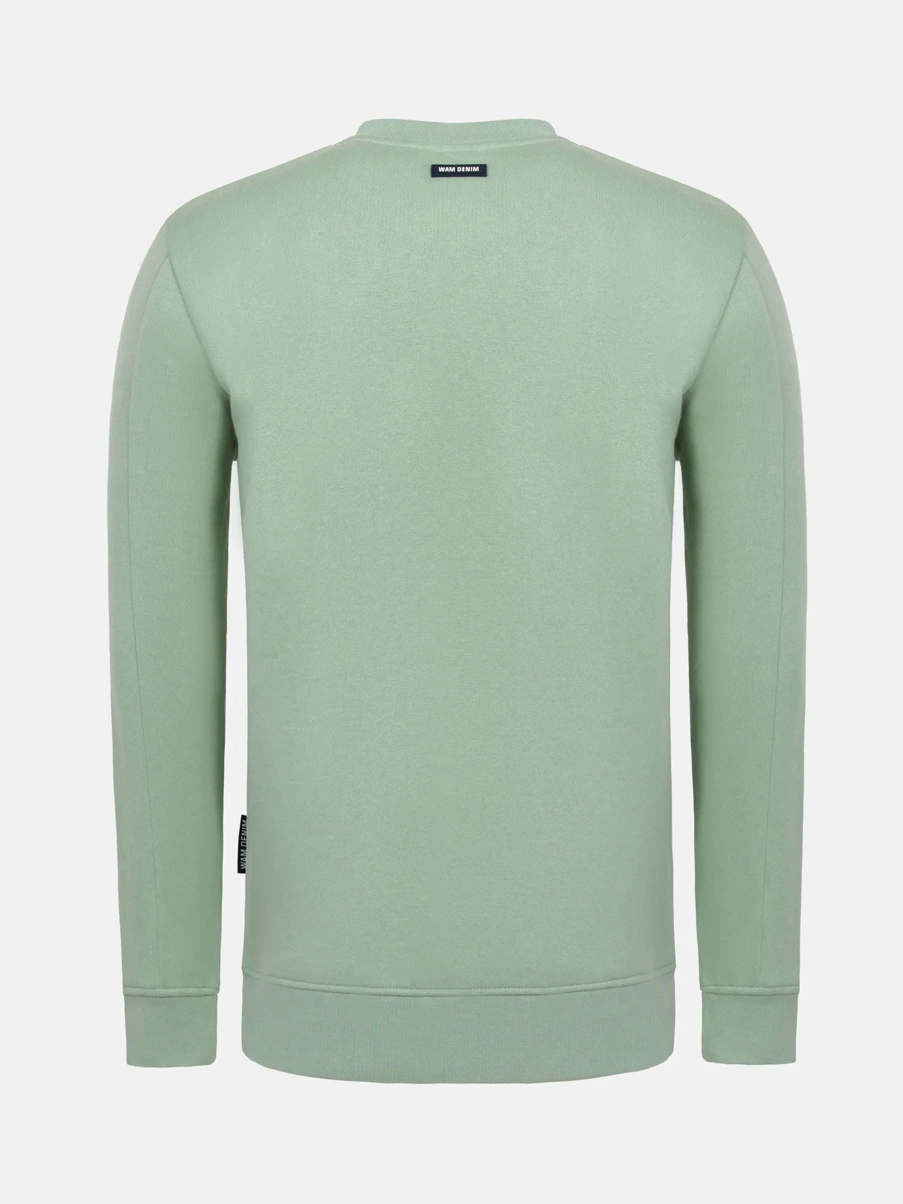 Ahmir Light Green Crew Neck Sweater 6XL