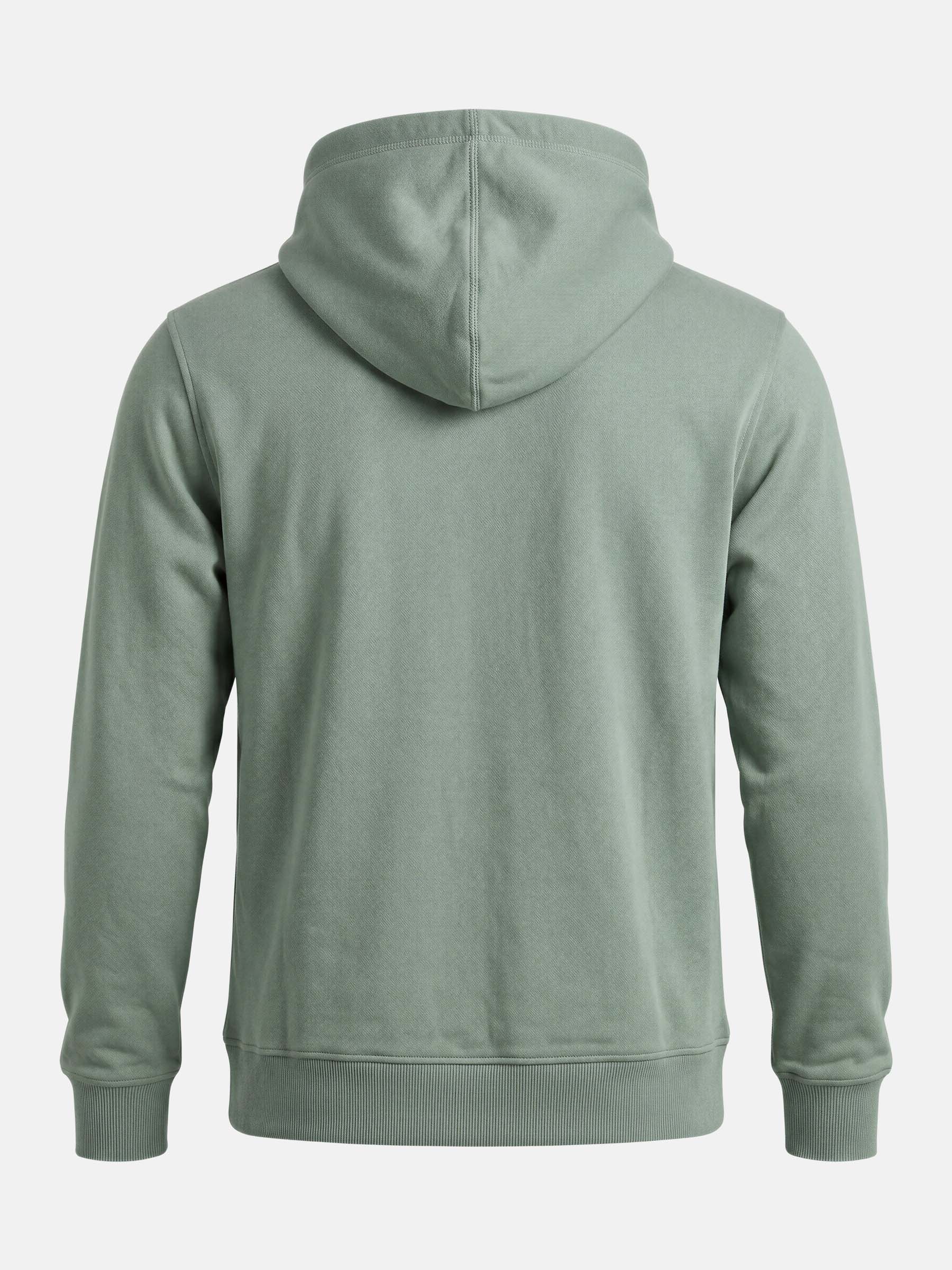 The Dexlor Light Green Hoodie
