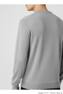 Thorn Light Grey Pullover - Back Upper Body