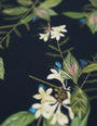 The Leroy Black Shirt Wam Denim